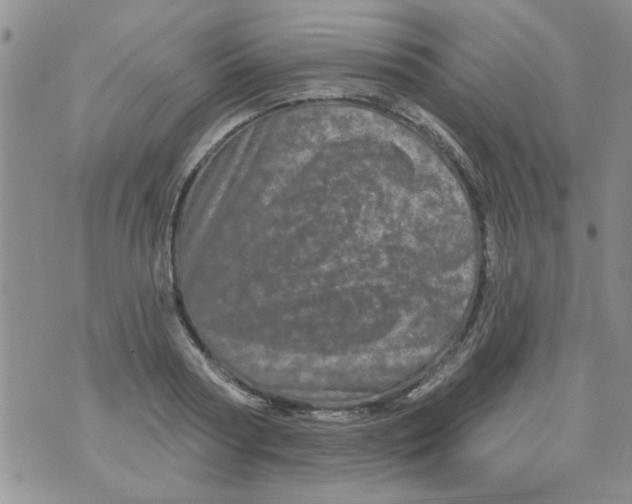 X0000073730794200608311844