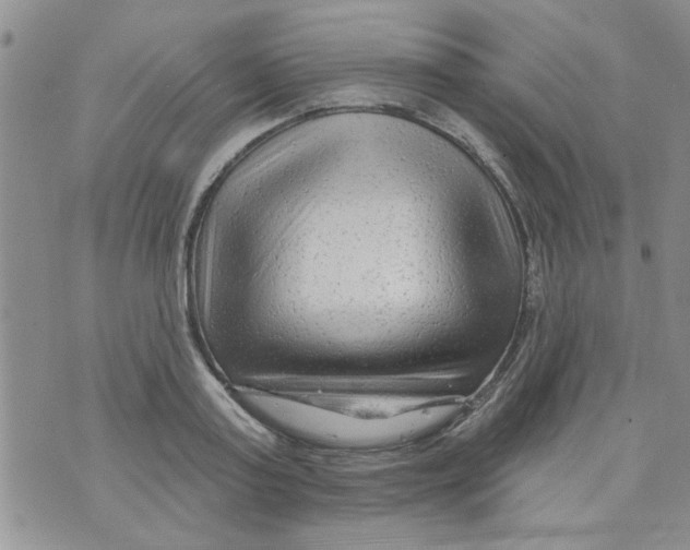 X0000073730795200608311844