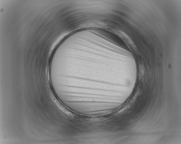 X0000073730796200608311844