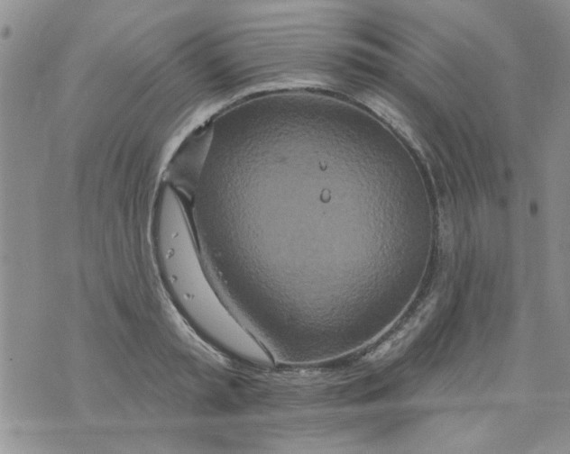 X0000073730797200608311844