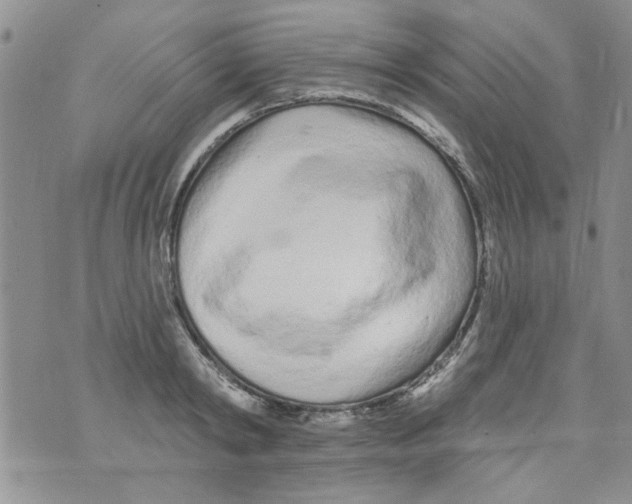 X0000073730798200608311844