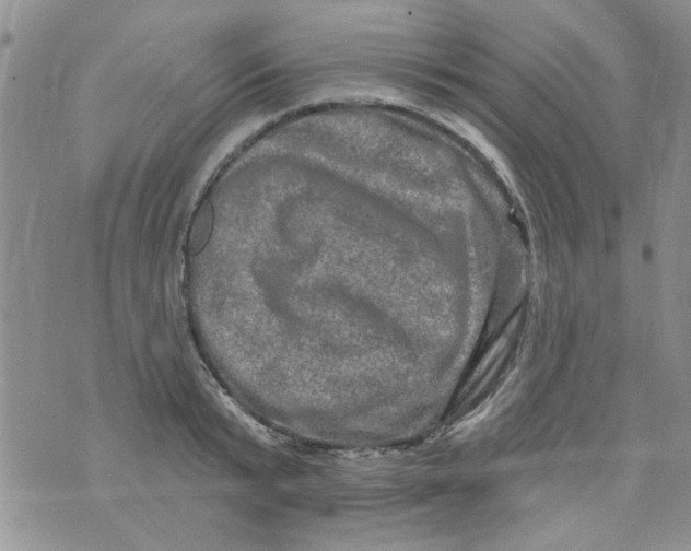 X0000073730799200608311844