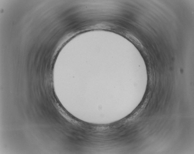 X0000073730800200608311844