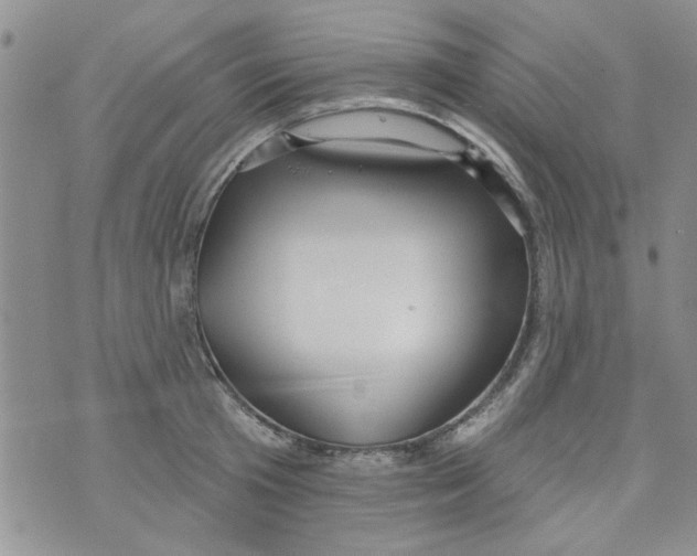 X0000073730801200608311844