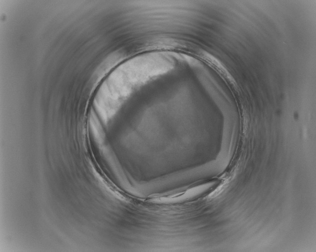 X0000073730802200608311844