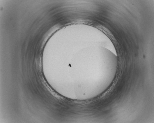 X0000073730804200608311843