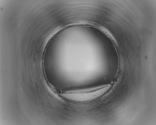 X0000073730805200608311843