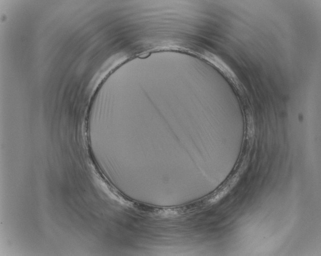 X0000073730806200608311843