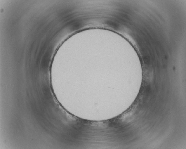 X0000073730807200608311843