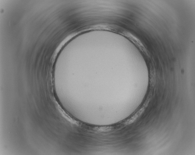 X0000073730808200608311843