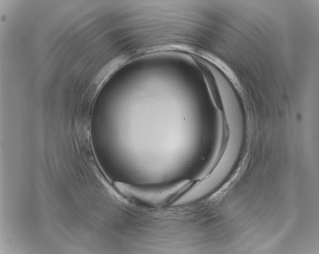 X0000073730809200608311843