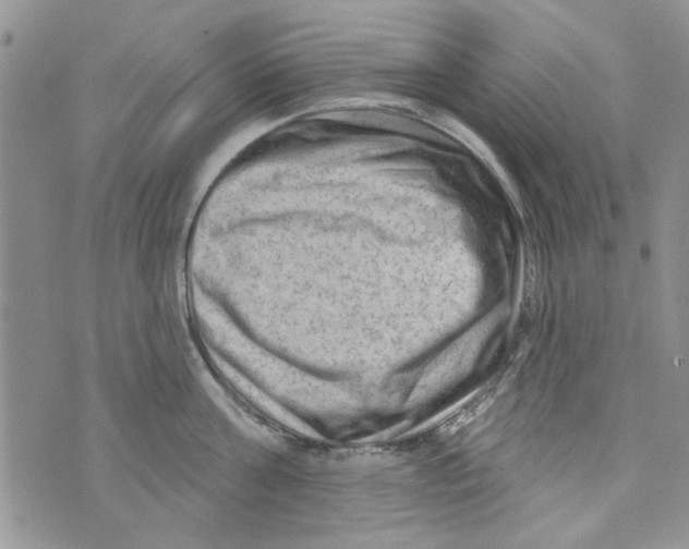 X0000073730811200608311843