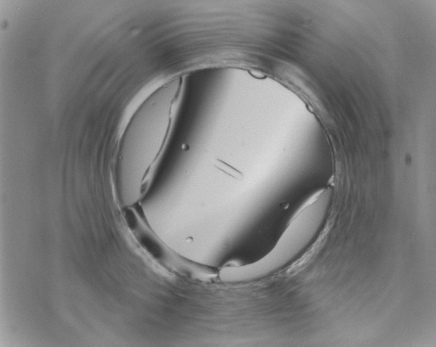 X0000073730812200608311843