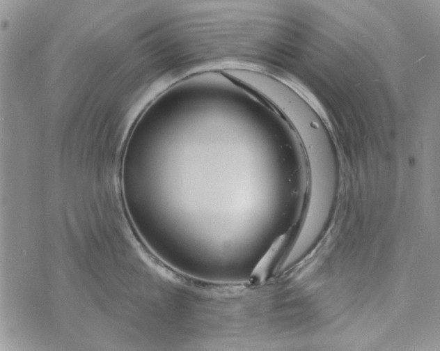 X0000073730813200608311843