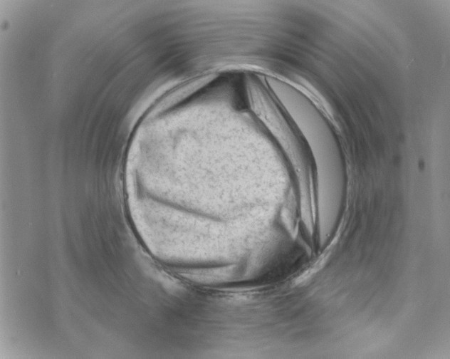 X0000073730814200608311843