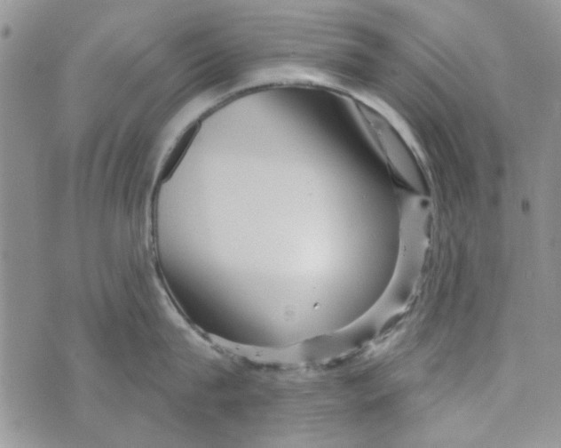 X0000073730815200608311843