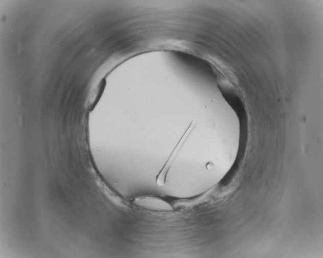 X0000073730816200608311843