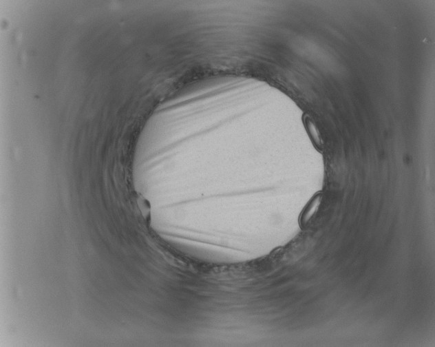 X0000073730817200608311843