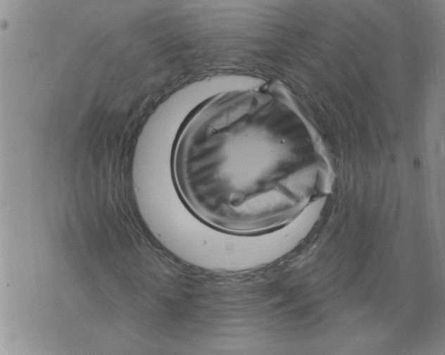 X0000073730818200608311843