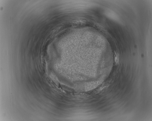 X0000073730819200608311843