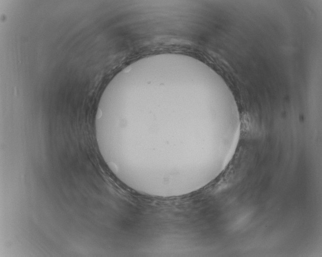 X0000073730820200608311843