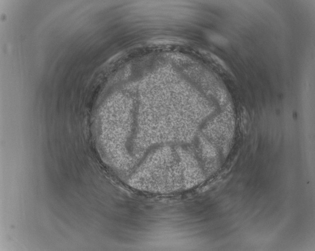 X0000073730821200608311843