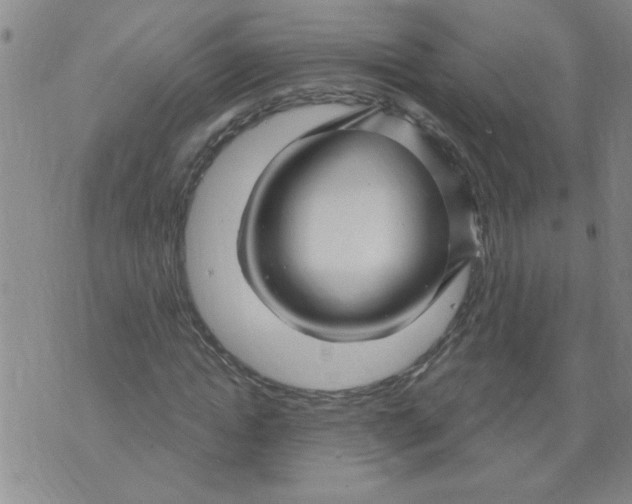 X0000073730822200608311843