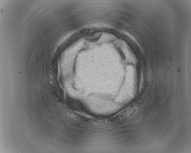 X0000073730823200608311843