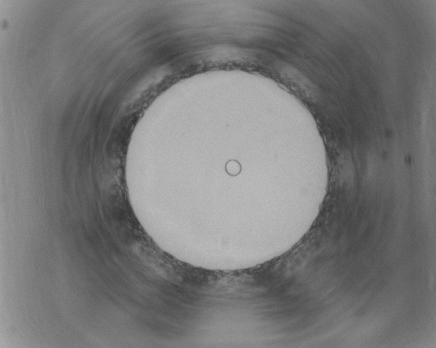 X0000073730824200608311843