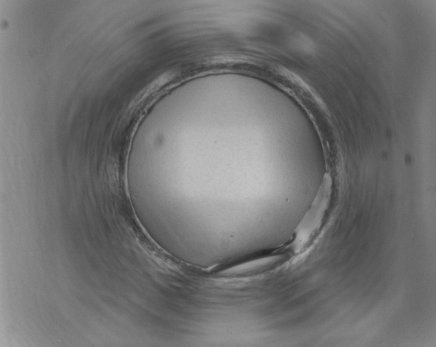 X0000073730825200608311843