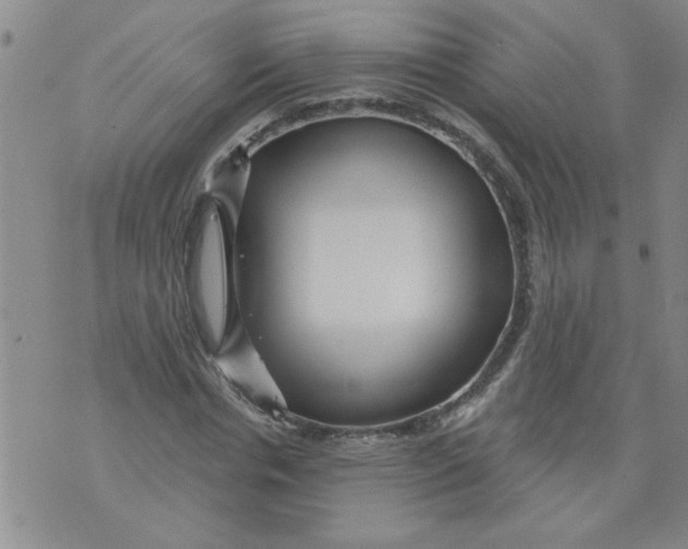 X0000073730826200608311843