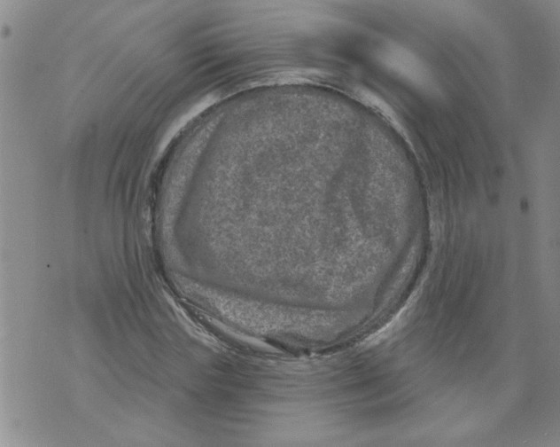 X0000073730827200608311843