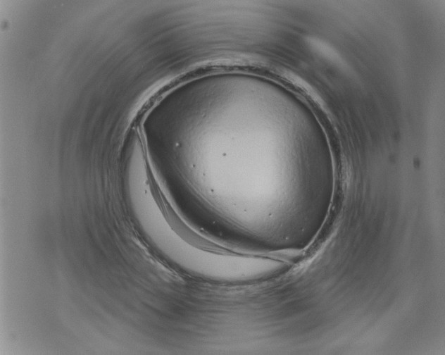 X0000073730829200608311843