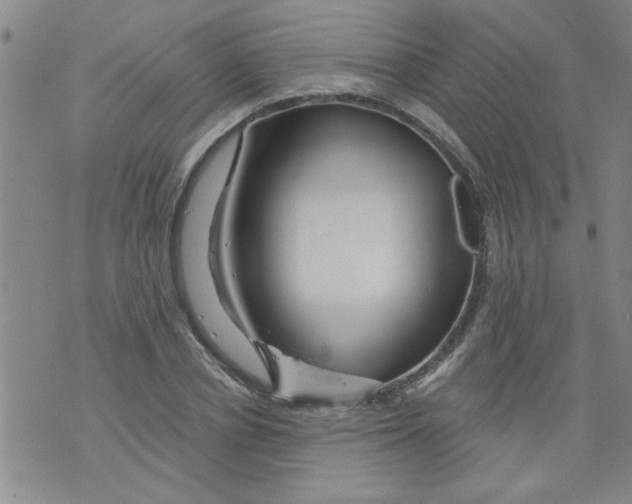 X0000073730834200608311843