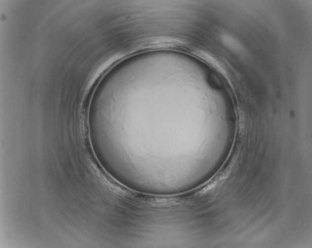 X0000073730835200608311843