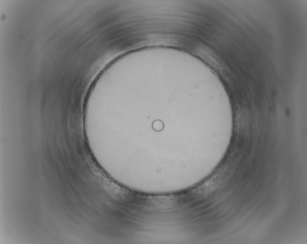 X0000073730836200608311843