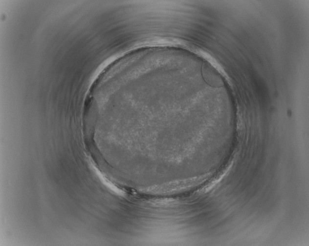 X0000073730837200608311843