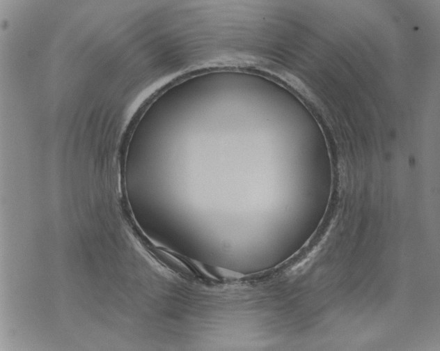 X0000073730838200608311843