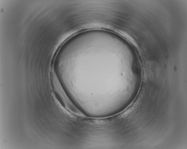 X0000073730839200608311843