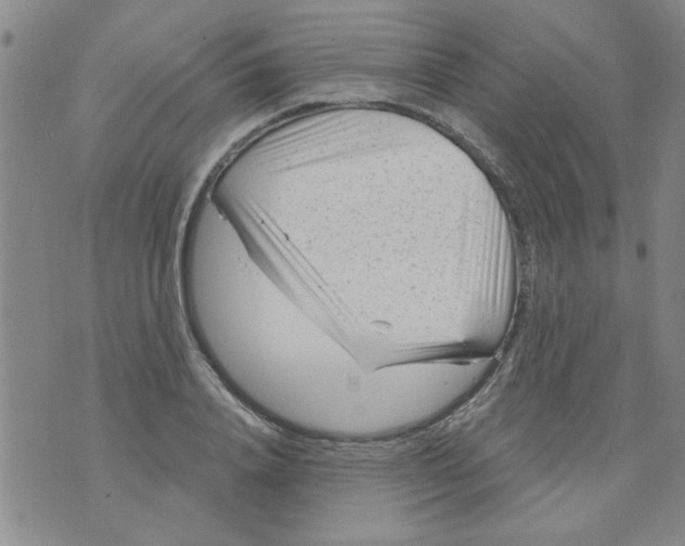 X0000073730840200608311843