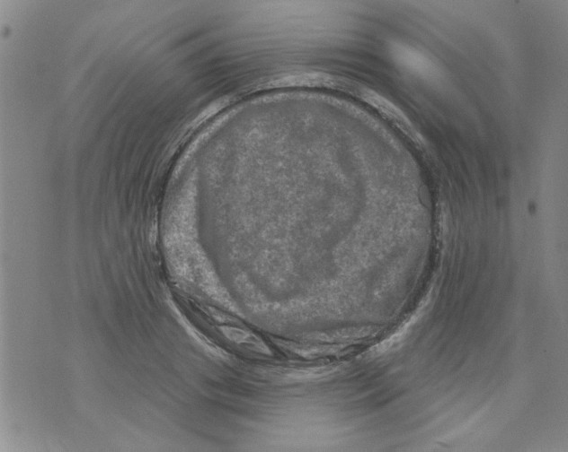 X0000073730841200608311843