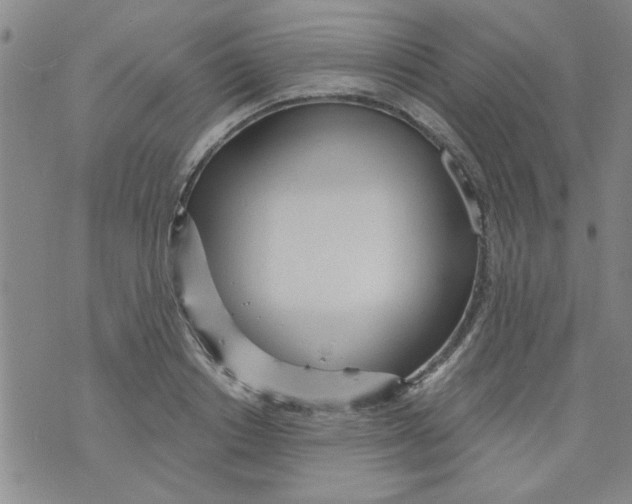 X0000073730842200608311843