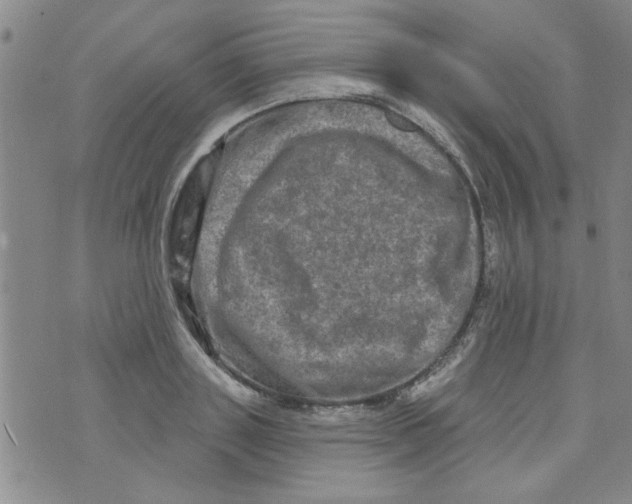 X0000073730843200608311843