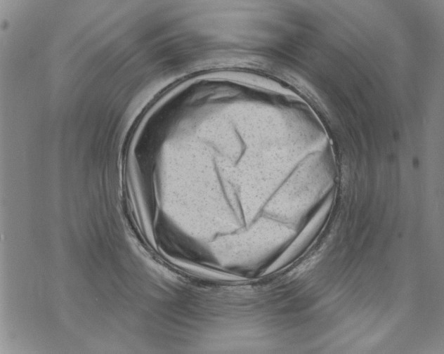 X0000073730844200608311843