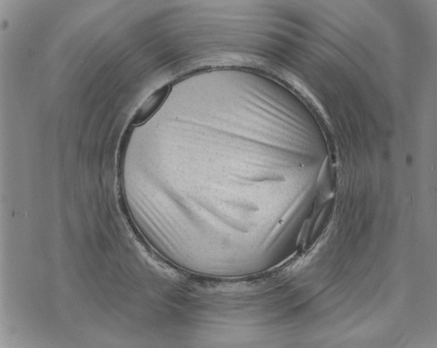 X0000073730845200608311843