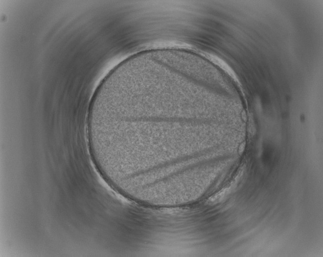 X0000073730847200608311843