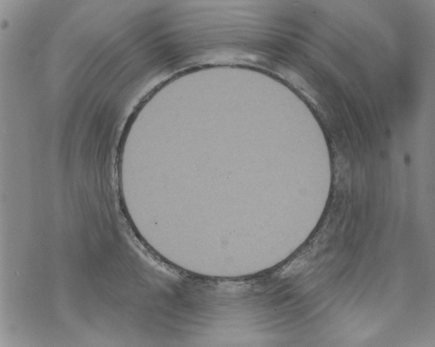 X0000073730848200608311843