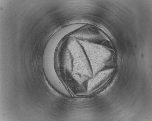 X0000073730849200608311843