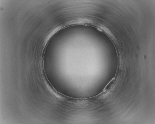 X0000073730850200608311843