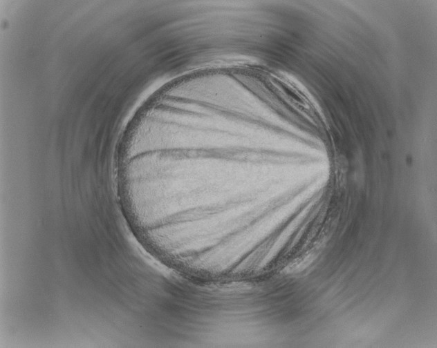 X0000073730851200608311843